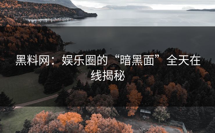 黑料网：娱乐圈的“暗黑面”全天在线揭秘