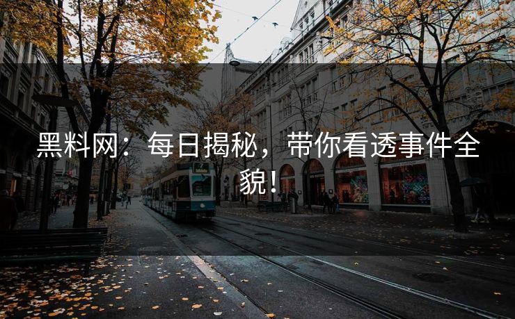 黑料网：每日揭秘，带你看透事件全貌！