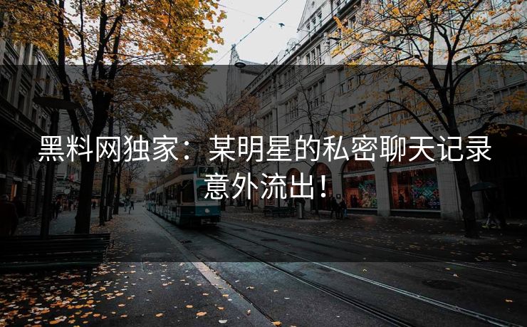 黑料网独家：某明星的私密聊天记录意外流出！