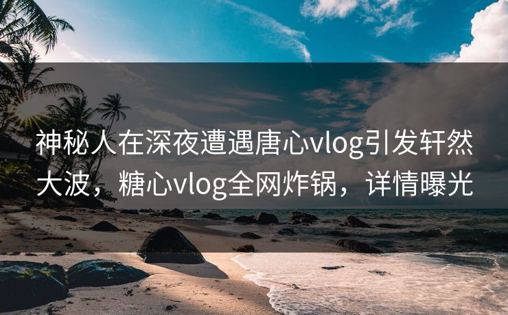神秘人在深夜遭遇唐心vlog引发轩然大波，糖心vlog全网炸锅，详情曝光