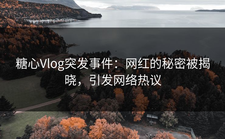 糖心Vlog突发事件：网红的秘密被揭晓，引发网络热议