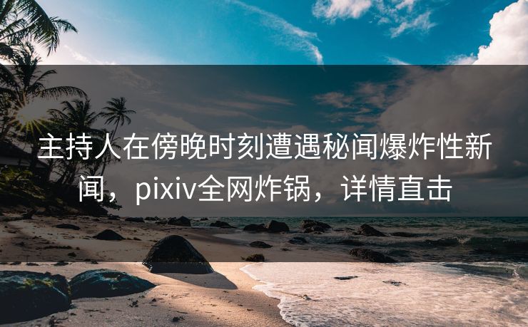 主持人在傍晚时刻遭遇秘闻爆炸性新闻，pixiv全网炸锅，详情直击