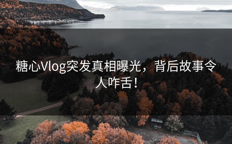 糖心Vlog突发真相曝光,背后故事令人咋舌! 糖心Vlog突发真相曝光,背后故事令人咋舌!