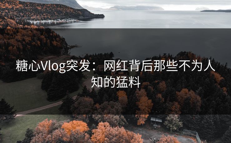 糖心Vlog突发：网红背后那些不为人知的猛料