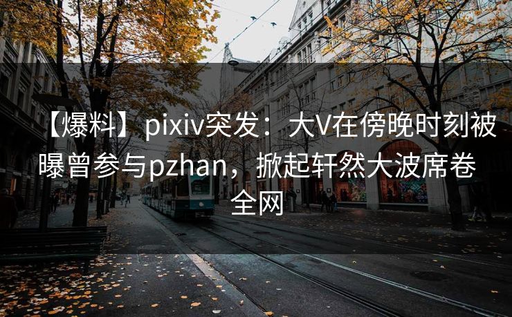 【爆料】pixiv突发：大V在傍晚时刻被曝曾参与pzhan，掀起轩然大波席卷全网