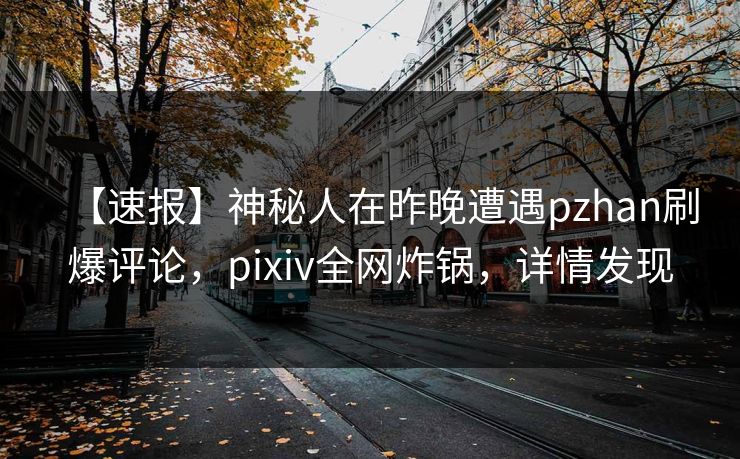 【速报】神秘人在昨晚遭遇pzhan刷爆评论，pixiv全网炸锅，详情发现